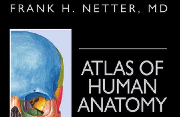 Sách y học Atlas of Human Anatomy, Netter
