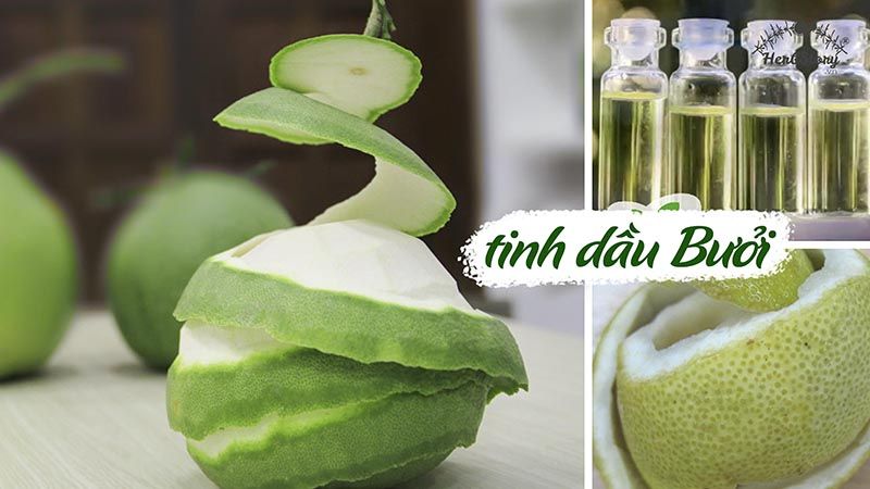 tinh dầu vỏ bưởi thiên nhiên